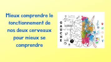 Mieux comprendre le fonctionnement de nos 2 cerveaux pour mieux se ...